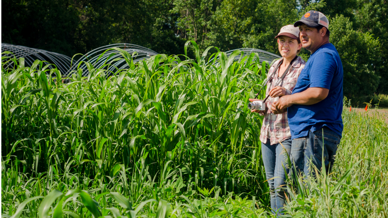 Photo of two persons talking in the field