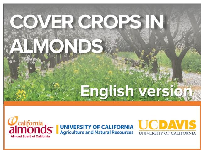 Best Management Practices for Cover Cropping in Almonds