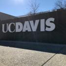 UCD entrance