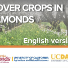 Screenshot cover crops in almond guide 
