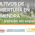 Screenshot cover crops in almond guide 