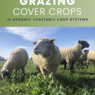 grazing guide 